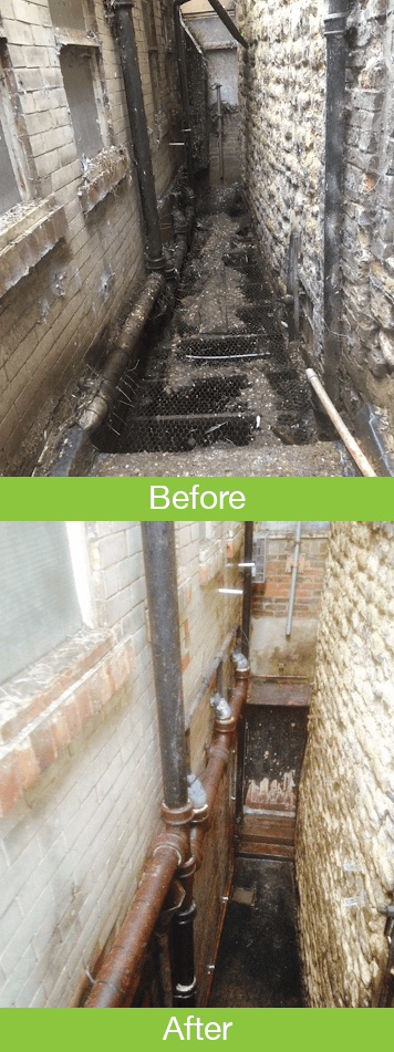 Guano removal and cleaning
