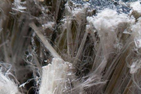 undisturbed asbestos undisturbed asbestos