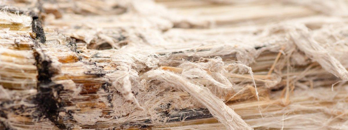 Asbestos fibres