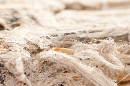 Asbestos fibres